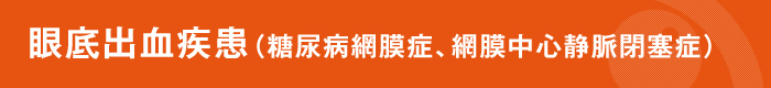 眼底出血疾患（糖尿病網膜症、網膜中心静脈閉塞症）説明および治療